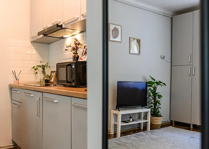 公寓 Langa Biserica Neagra Si Turnul Alb *