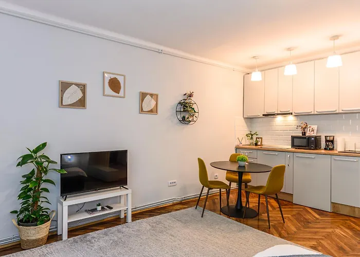 Langa Biserica Neagra Si Turnul Alb 布拉索夫