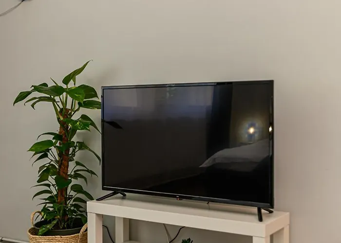 Lângă Biserica Neagră și Turnul Alb